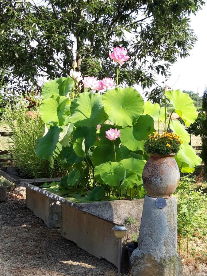 Le Pouy Panzió Termes-d'Armagnac Kültér fotó